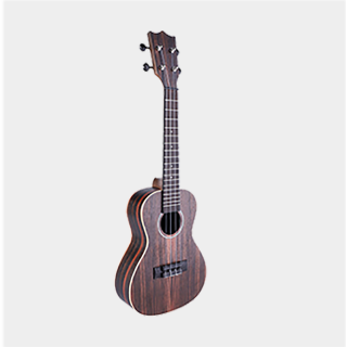 Jewelry musical instrument